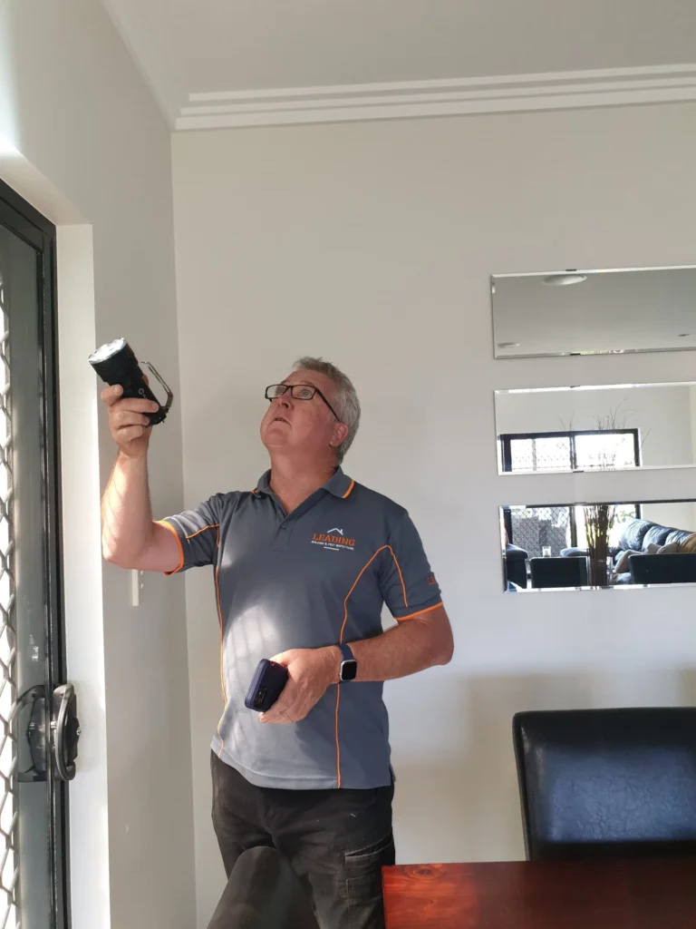 Building Inspection